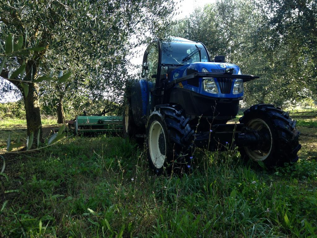 Fattoria Lucciano Borghetto (Lazio) Exterior foto