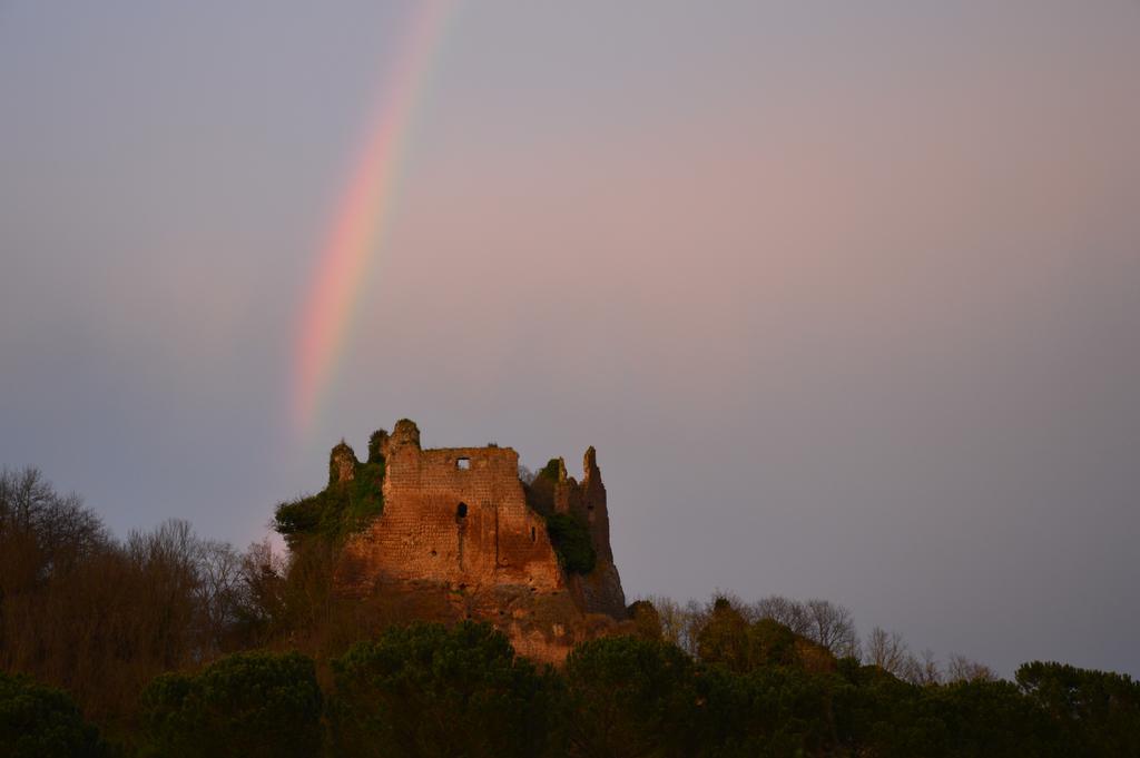 Fattoria Lucciano Borghetto (Lazio) Exterior foto
