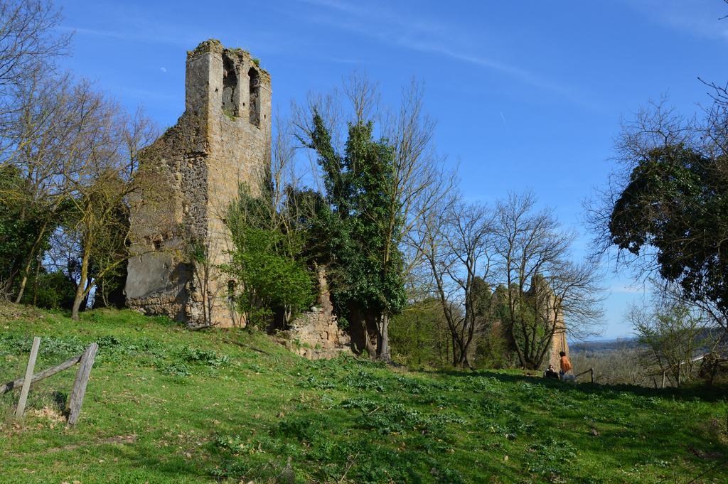 Fattoria Lucciano Borghetto (Lazio) Exterior foto