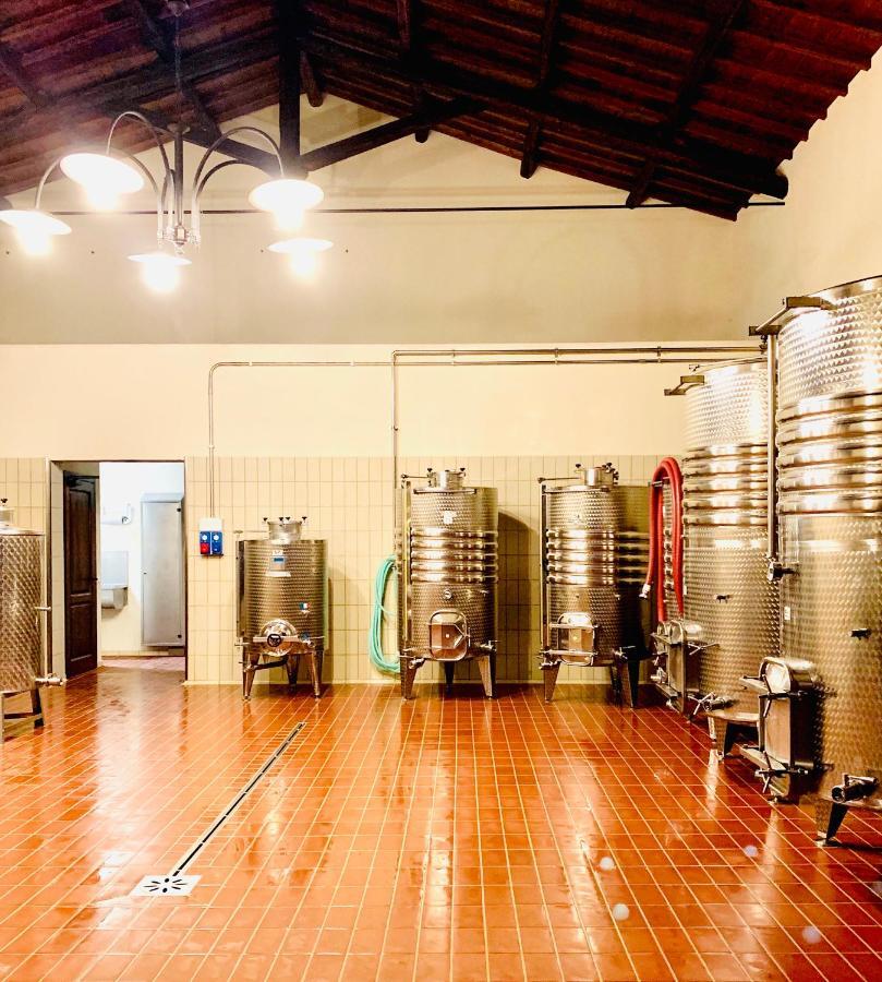 Fattoria Lucciano Borghetto (Lazio) Exterior foto
